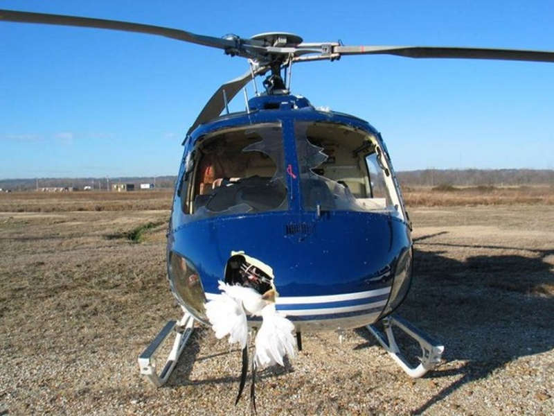 Widoczne zniszczenia helikoptera po zderzeniu z ptakami